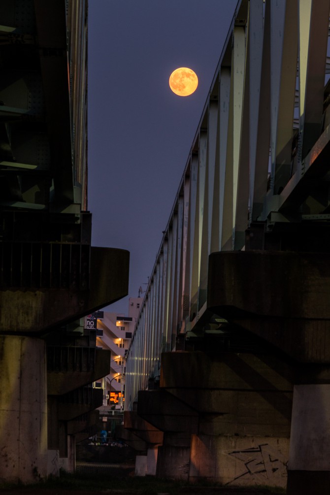 満月と市川橋