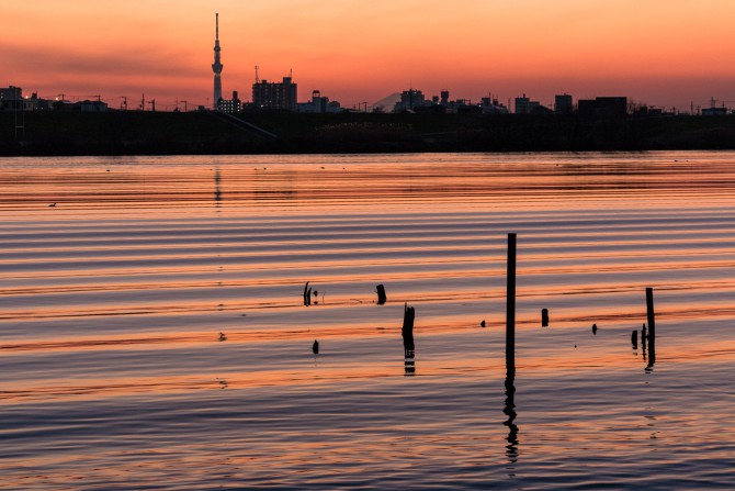 日没後の江戸川