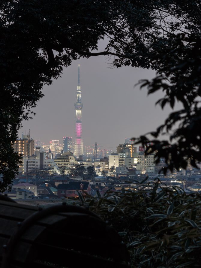 東京スカイツリーのライティングが桜をイメージしたライティングに