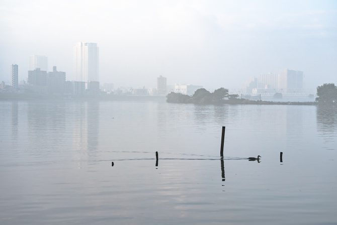 霧の江戸川