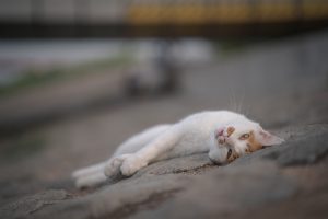 脱力