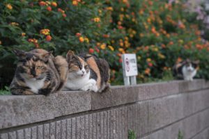 女子会の最中に