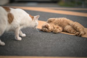 なかなか起きられなくて