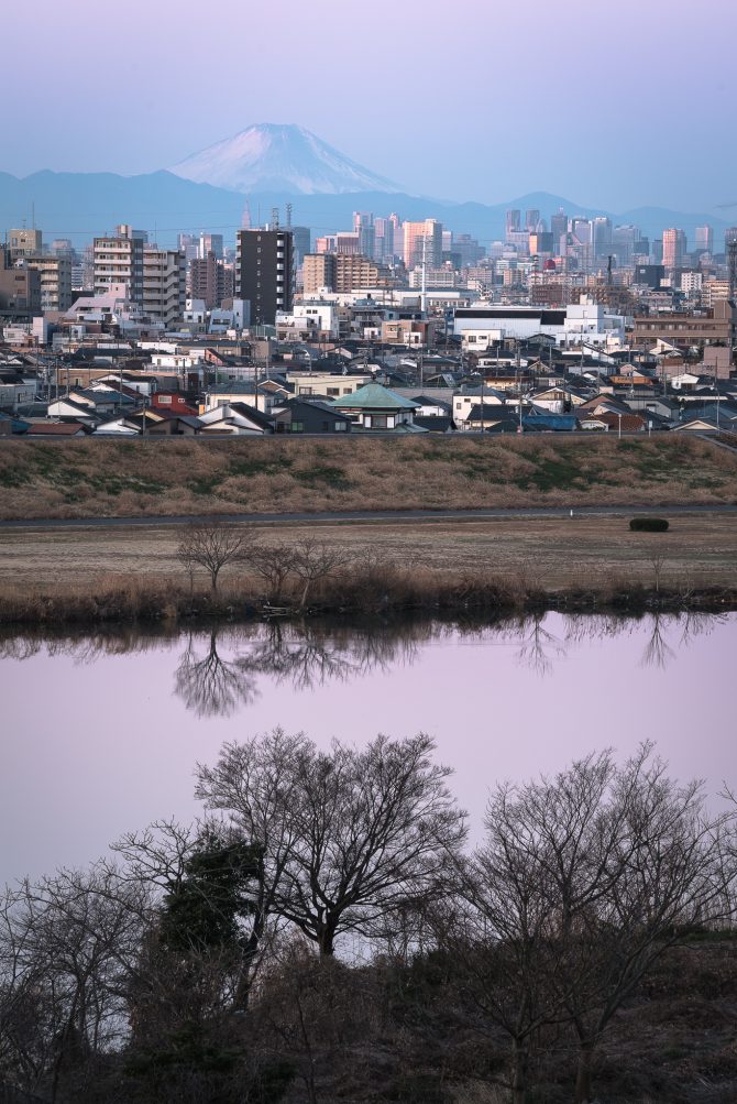 桃色に染まる江戸川と富士山