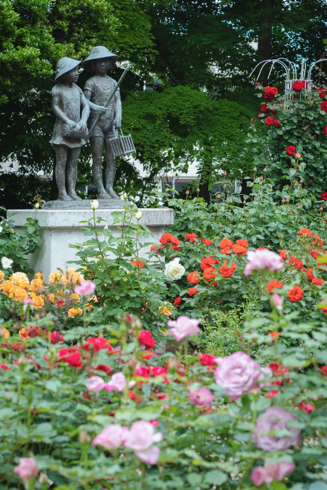 須和田公園のバラコーナー